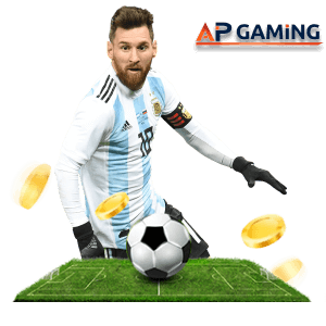 166bet Brasil plataforma online 2026